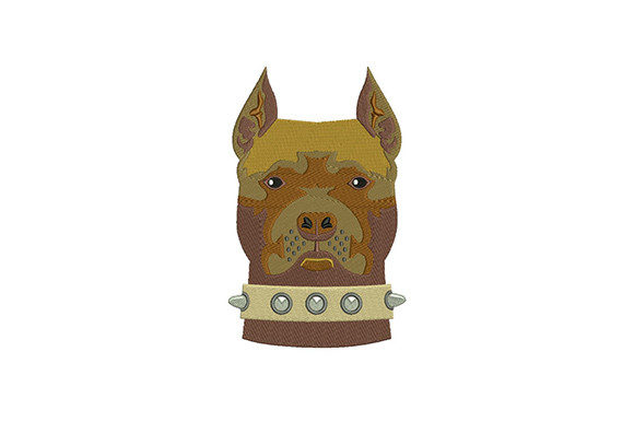American Pit Bull Head: A Designer’s Review
